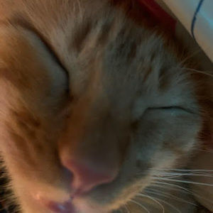 Meet your Posher, Aaliyah